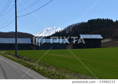 Scenery of Biei 53980215