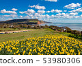 Sidmouth, Dorset, England 53980306