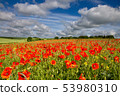 Blandford, Dorset, England 53980310