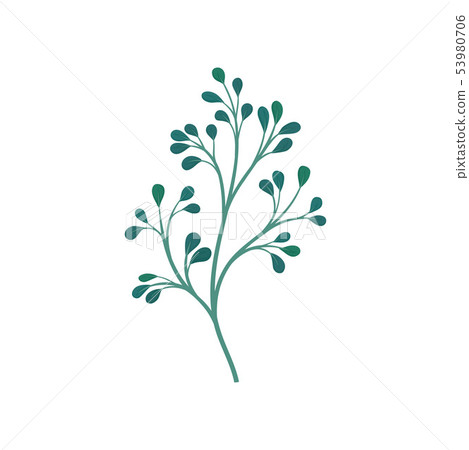 Dark green branchy stem with leaves. Vector illustration on white background. 53980706