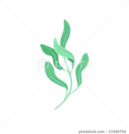 Stem with five light leaves. Vector illustration on white background. 53980708