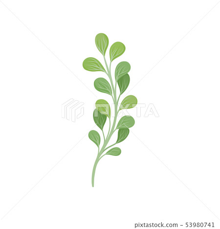 Curved stem with leaves. Vector illustration on white background. Curved stem with leaves. Vector illustration on white background. 53980741