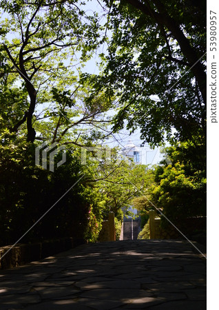Himeshima大分的風景 Himeshima大分的風景 53980957