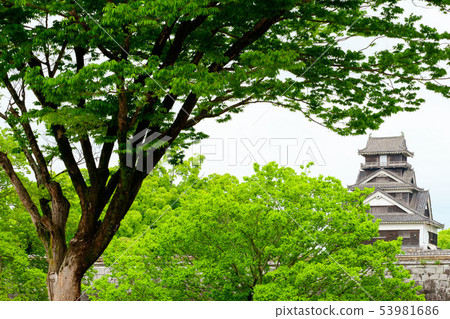 Fresh green Kumamoto Castle Utosu Fresh green Kumamoto Castle Utosu 53981686