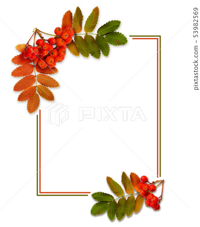 Autumn rowanberries and leaves in a corner Autumn rowanberries and leaves in a corner 53982569