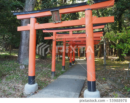  Kashihara Shrine 53988978