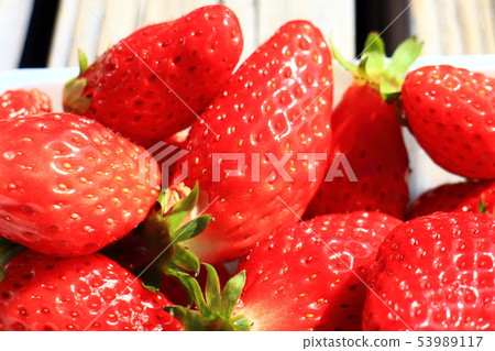 Strawberry Strawberry 53989117