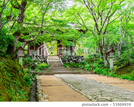 Kyoto Aomoriji Temple 53989939