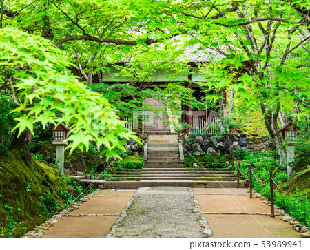 Kyoto Aomoriji Temple 53989941