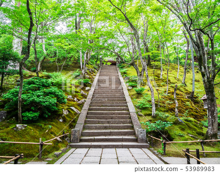 京都Aomoriji寺 53989983