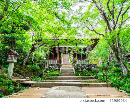 Kyoto Aomoriji Temple 53989984
