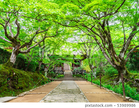 京都Aomoriji寺 53989986