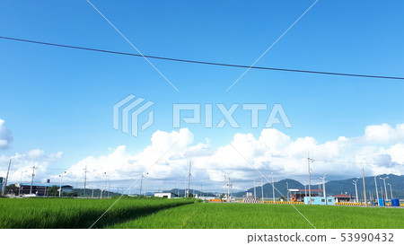 midsummer 53990432