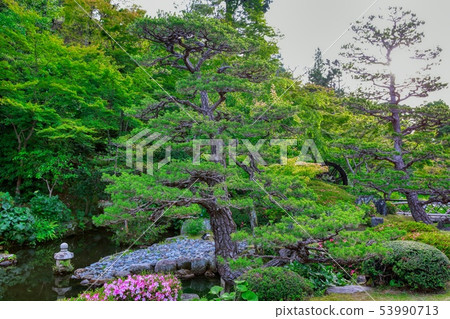 Japanese garden 53990713