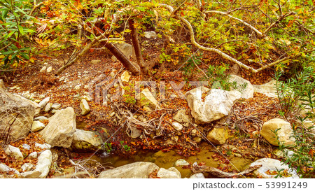The Avakas canyon 53991249