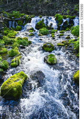 北海道共同國立富橋公園 53992990