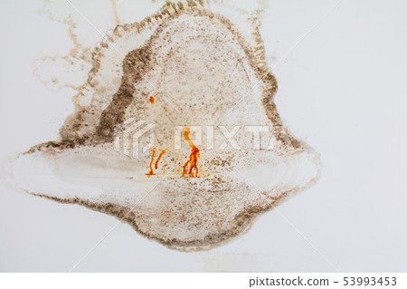 fungus in gypsum ceiling interior building damaged fungus in gypsum ceiling interior building damaged 53993453