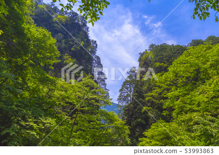 Oku Akikawa穀神戶岩石初夏視圖 53993863