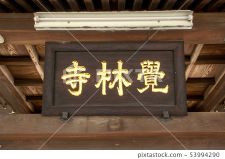 悟Hayashiji 53994290