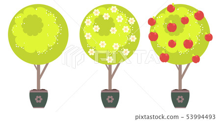 Abstract Apple Tree 53994493