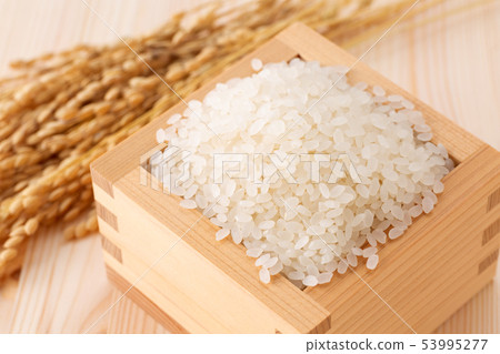 飯 飯 53995277