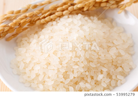 飯 飯 53995279
