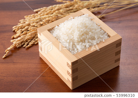 Rice 53996310