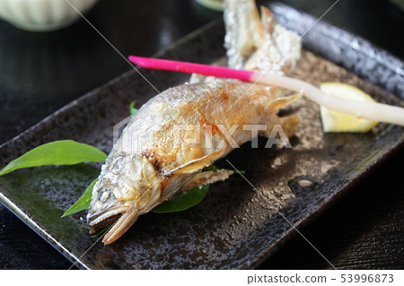 鹽烤三文魚 53996873