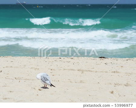 Scarborough beach, Western Australia / Scarborough beach, Australia Scarborough beach, Western Australia / Scarborough beach, Australia 53996977