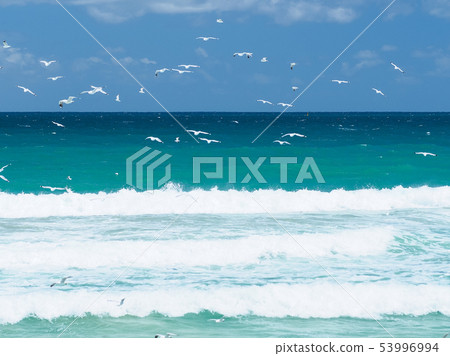 Scarborough beach, Western Australia / Scarborough beach, Australia Scarborough beach, Western Australia / Scarborough beach, Australia 53996994