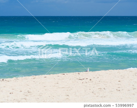 Scarborough beach, Western Australia / Scarborough beach, Australia 53996997