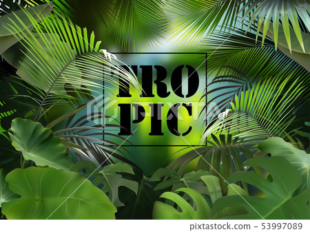 Tropical Background with Photorealistic Vegetation Tropical Background with Photorealistic Vegetation 53997089