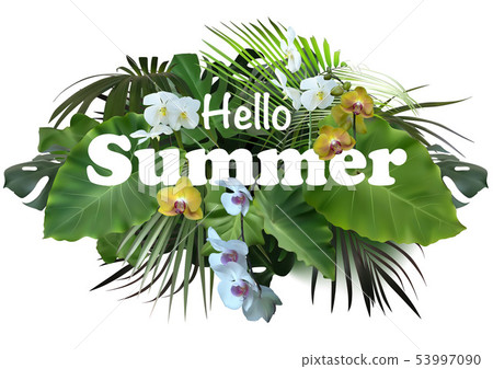 Summer Tropical Banner or Flyer Design Summer Tropical Banner or Flyer Design 53997090