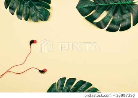 Monstera leaves on yellow pastel background. Monstera leaves on yellow pastel background. 53997350
