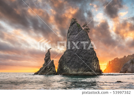 Olympic National Park, Washington, USA Olympic National Park, Washington, USA 53997382