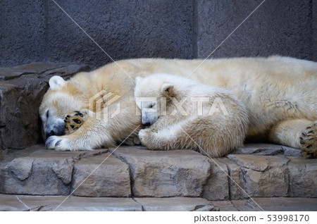 白色的裸體父母小睡 白色的裸體父母小睡 53998170