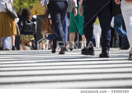 A back view of a businessman crossing a pedestrian crossing 54000560