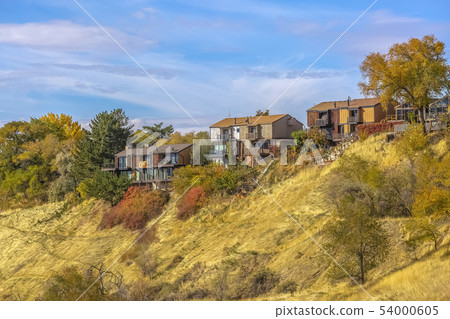 Hill with homes and colorful trees under vast sky Hill with homes and colorful trees under vast sky 54000605