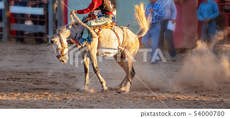Cowboy Rides Bucking Horse Cowboy Rides Bucking Horse 54000780