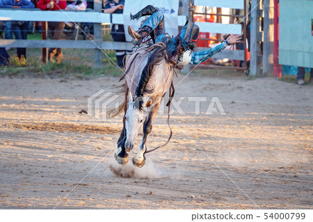 Cowboy Rides Bucking Horse Cowboy Rides Bucking Horse 54000799