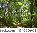 森林公路 54000904