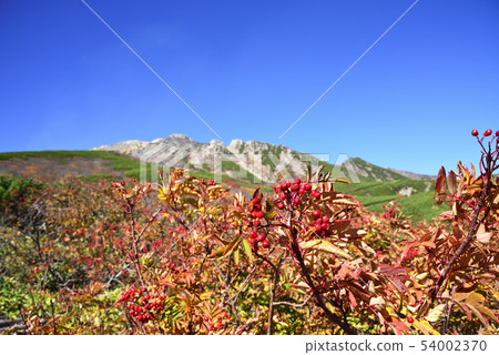 在Oginoyama-Eighth山附近的目標女性大廳的彩色葉子時間 54002370