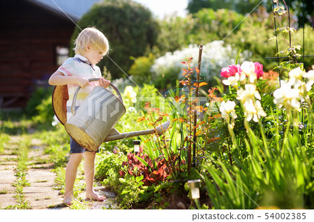Cute little boy watering plants in the garden at Cute little boy watering plants in the garden at 54002385