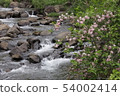 Clear stream 54002414