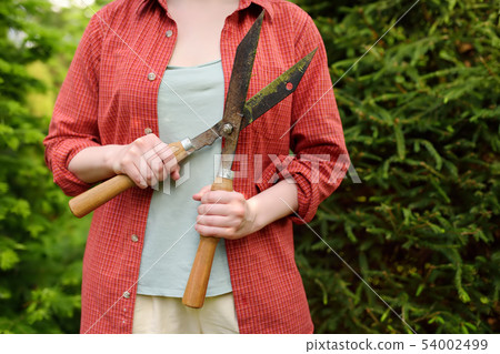 Hands of female gardener. Woman working with Hands of female gardener. Woman working with 54002499