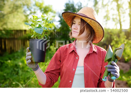 Young woman holding gardening tools and seedling 54002500