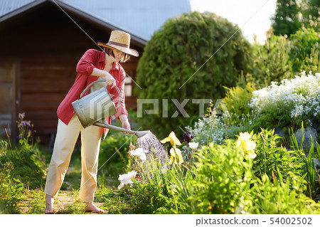 Young woman watering plants in the garden at Young woman watering plants in the garden at 54002502