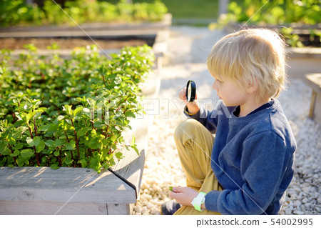 Little child exploring nature with magnifying 54002995