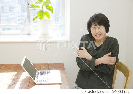 女性中年 54003592