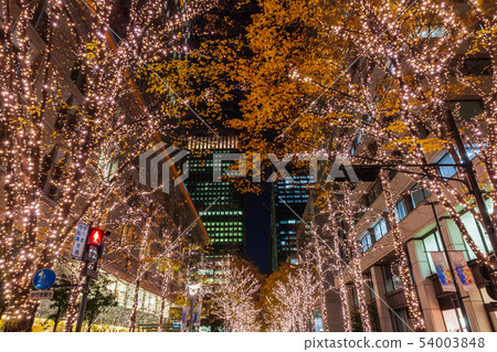 丸之內照明 丸之內照明 54003848